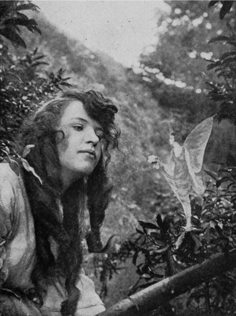 Fairy image from Sir Arthur and the Fairies