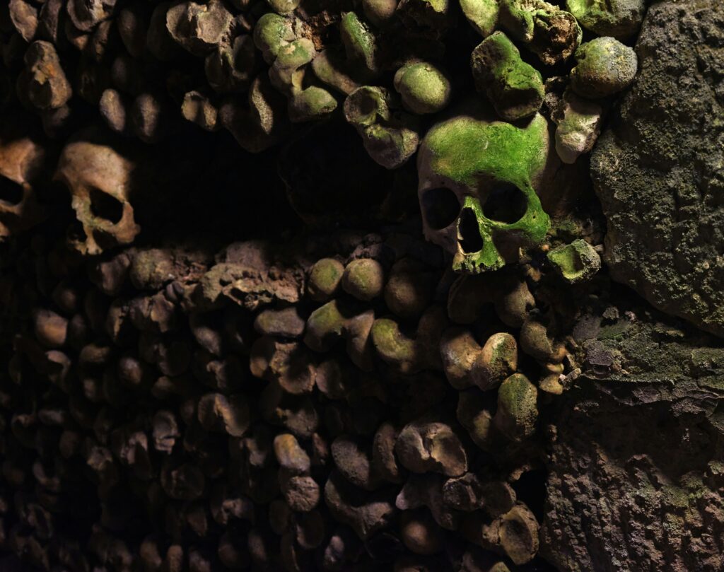 Skulls from the Paris Catacombs