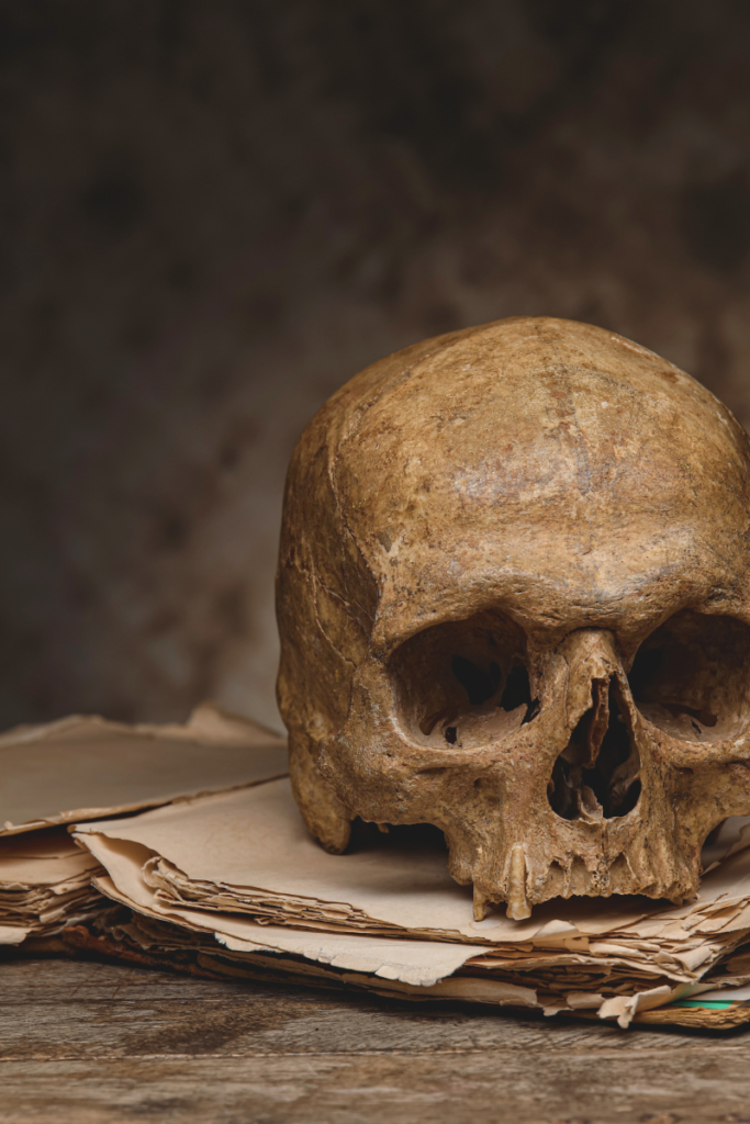A skull on top of a book.