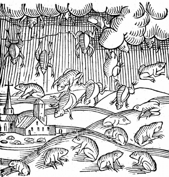 Woodcut illustration of frog rain from Conrad Lycosthenes’ Prodigiorum ac ostentorum chronicon (1557), an account of wonders and strange phenomena 
